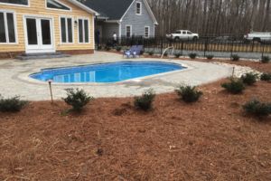 Swimming pool with pine needle landscaping